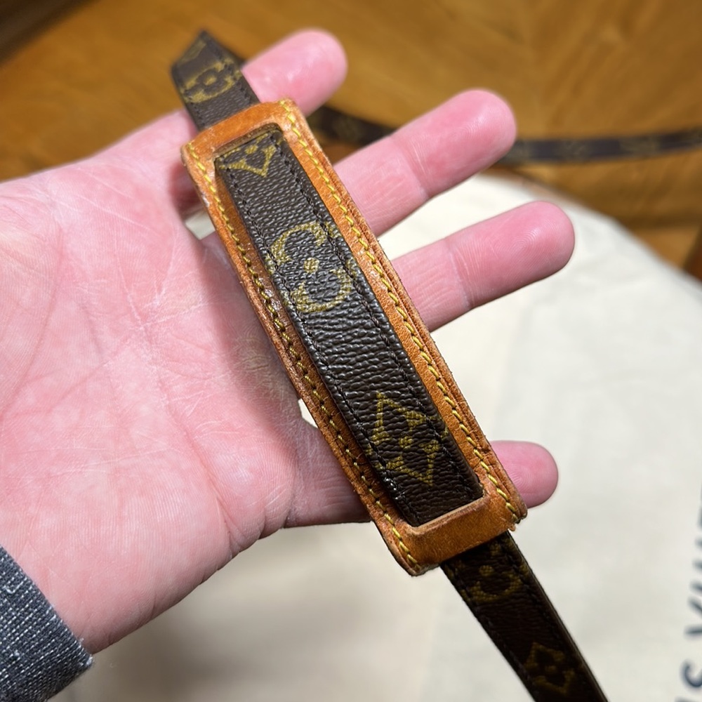 LOUIS VUITTON Monogram Amazone Crossbody - Picture 8 of 16